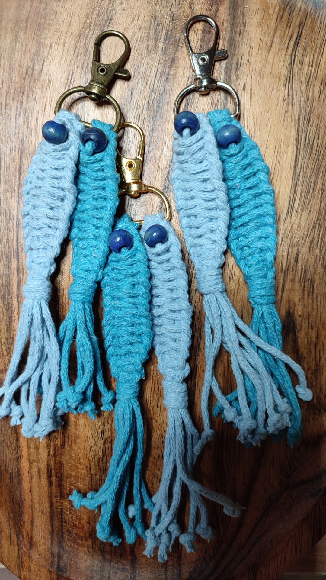 rybky modrá- tyrkys